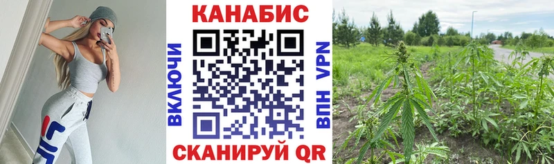 Купить закладку Каннабис  Амфетамин  Cocaine  Alpha PVP  Гашиш  МЕФ  Высоцк